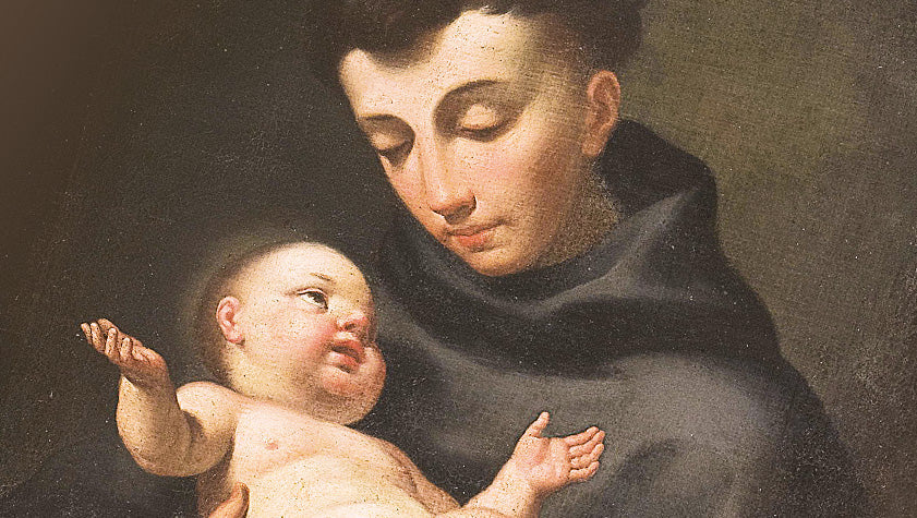 antonio di padova il santo dei miracoli e della parola