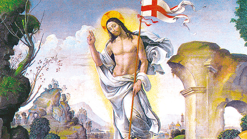 liturgia della domenica 13 novembre 2022
