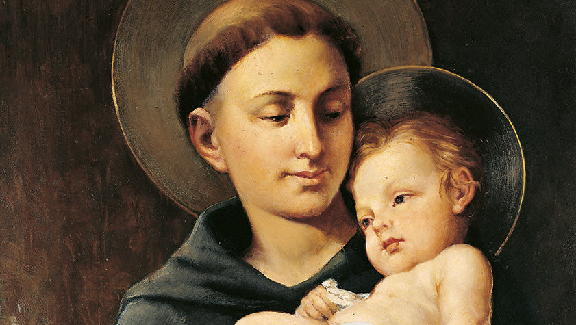 il segreto di santantonio di padova dalla voce di don tonino bello