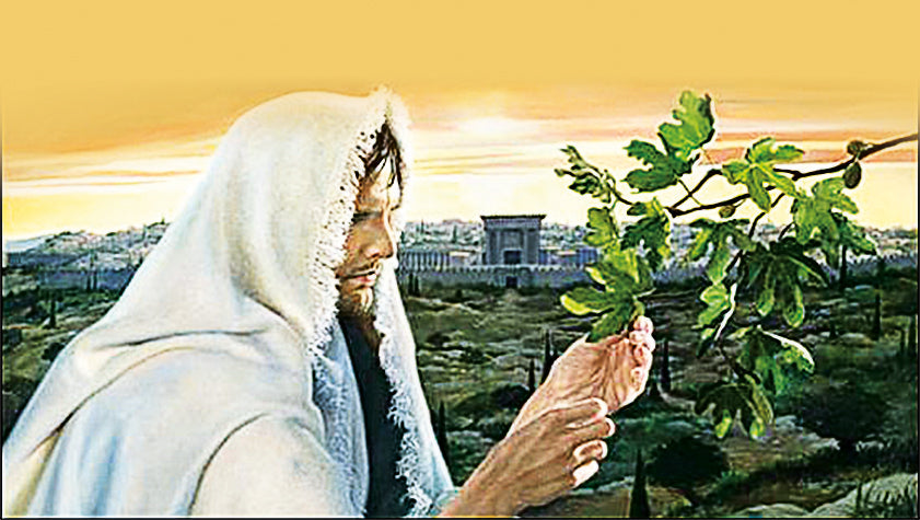 liturgia della domenica 14 novembre 2021
