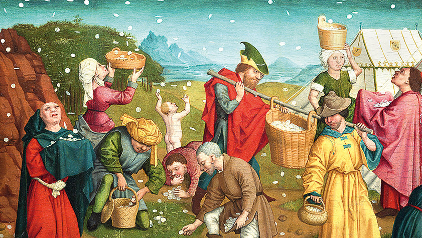 liturgia della domenica 1 agosto 2021