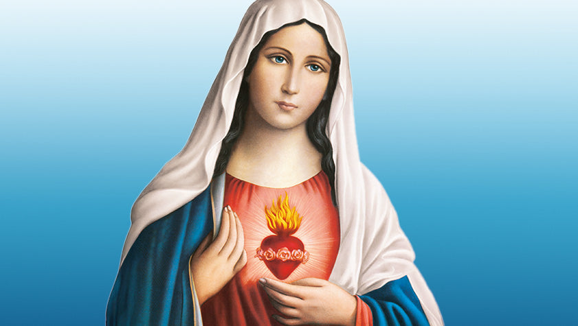 il cuore immacolato di maria rifugio e via verso la pace in un mondo in conflitto