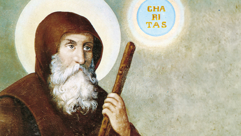 francesco da paola il santo dei miracoli