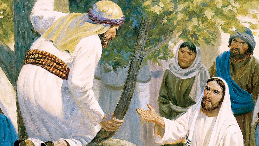 liturgia della domenica 30 ottobre 2022
