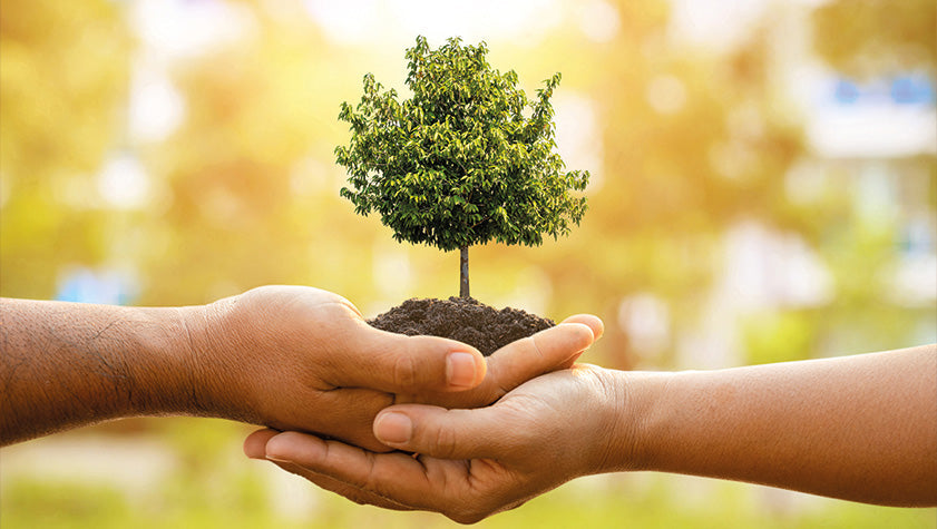 la nostra casa comune grida un appello alla cura e alla speranza nella giornata mondiale dellambiente