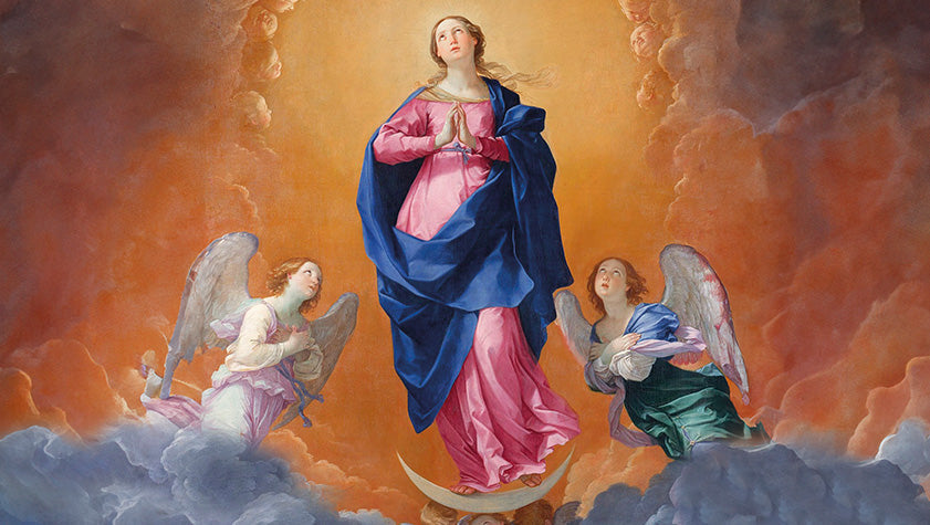 liturgia della domenica 8 dicembre 2024