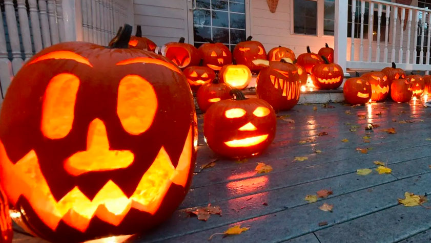 hallowen tutto quello che volevi sapere 2