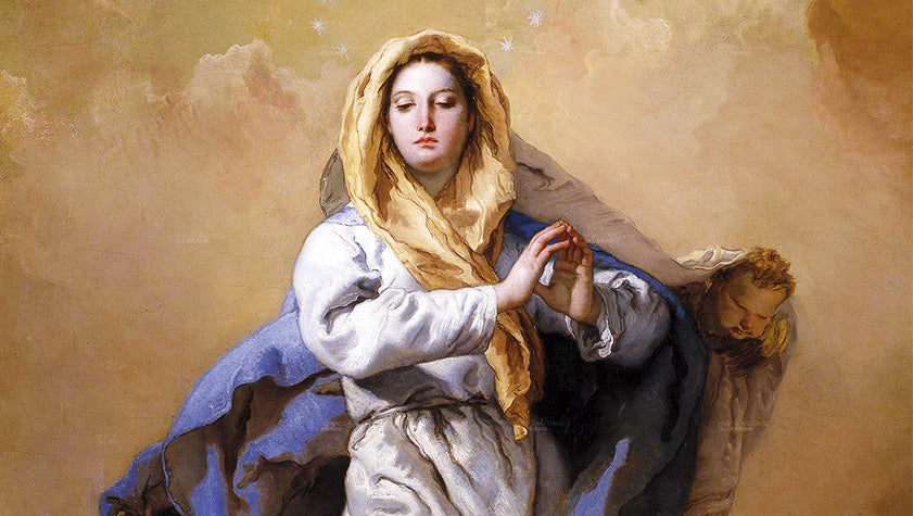 la festa dellimmacolata concezione in pillole