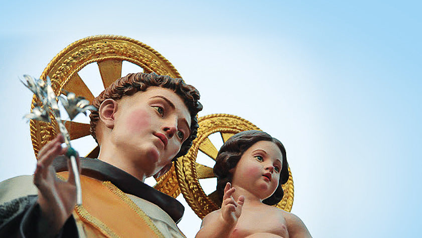 antonio un santo per tutti