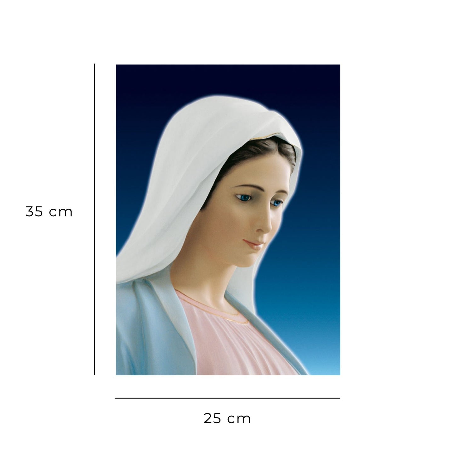 Foto beata Vergine Maria profilo cm 25x35