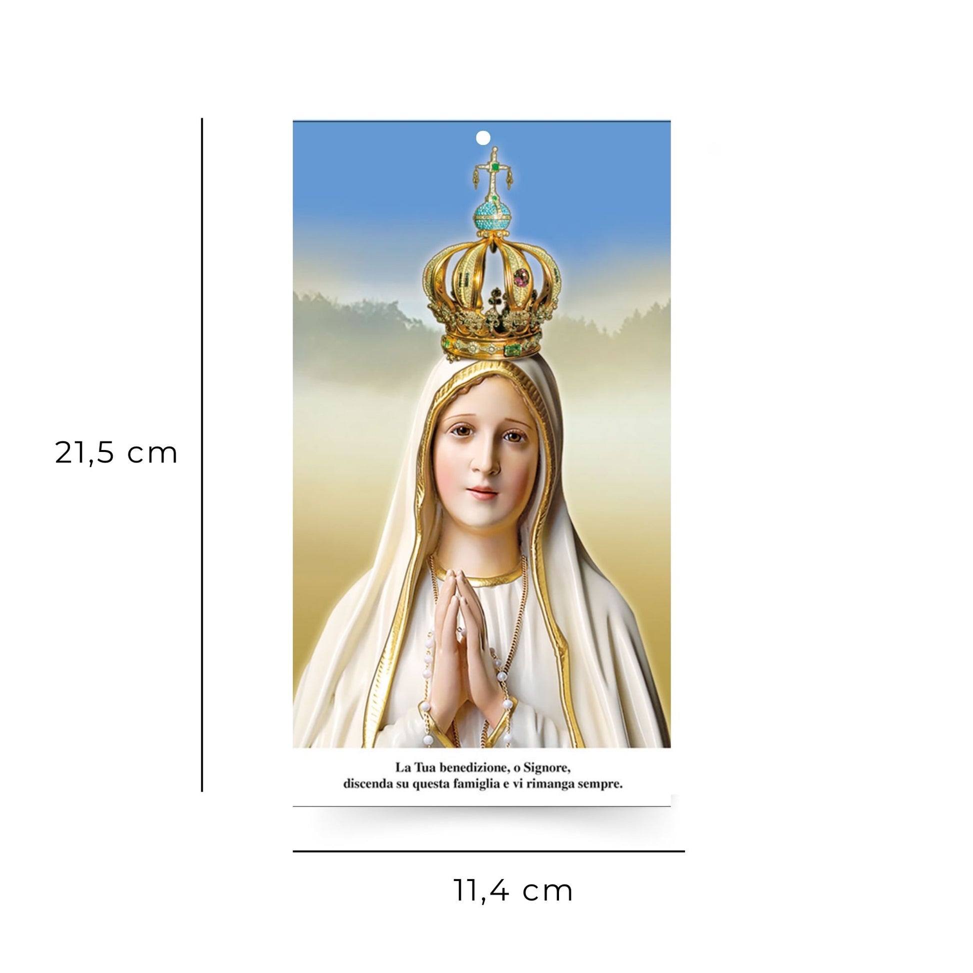 Foto Madonna di Fatima. Sul retro "Benedizione delle famiglie" cm 11,4x21,5