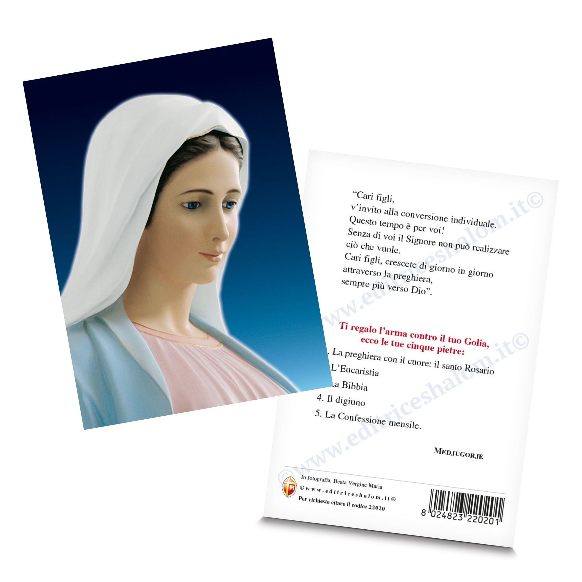 Cartolina beata Vergine Maria profilo. Sul retro "Le tue cinque pietre" 