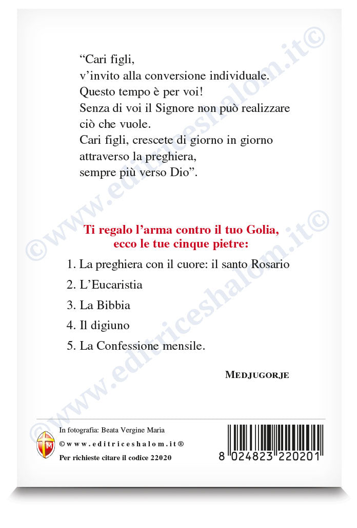 Cartolina beata Vergine Maria profilo. Sul retro "Le tue cinque pietre" 