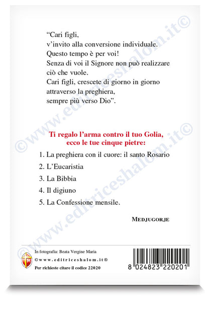 Cartolina beata Vergine Maria profilo. Sul retro "Le tue cinque pietre" 