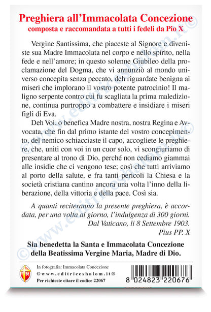 Cartolina Assunta. Sul retro "Preghiera all'Immacolata Concezione di Pio X"