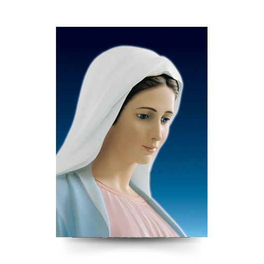Cartolina beata Vergine Maria profilo. Retro bianco  