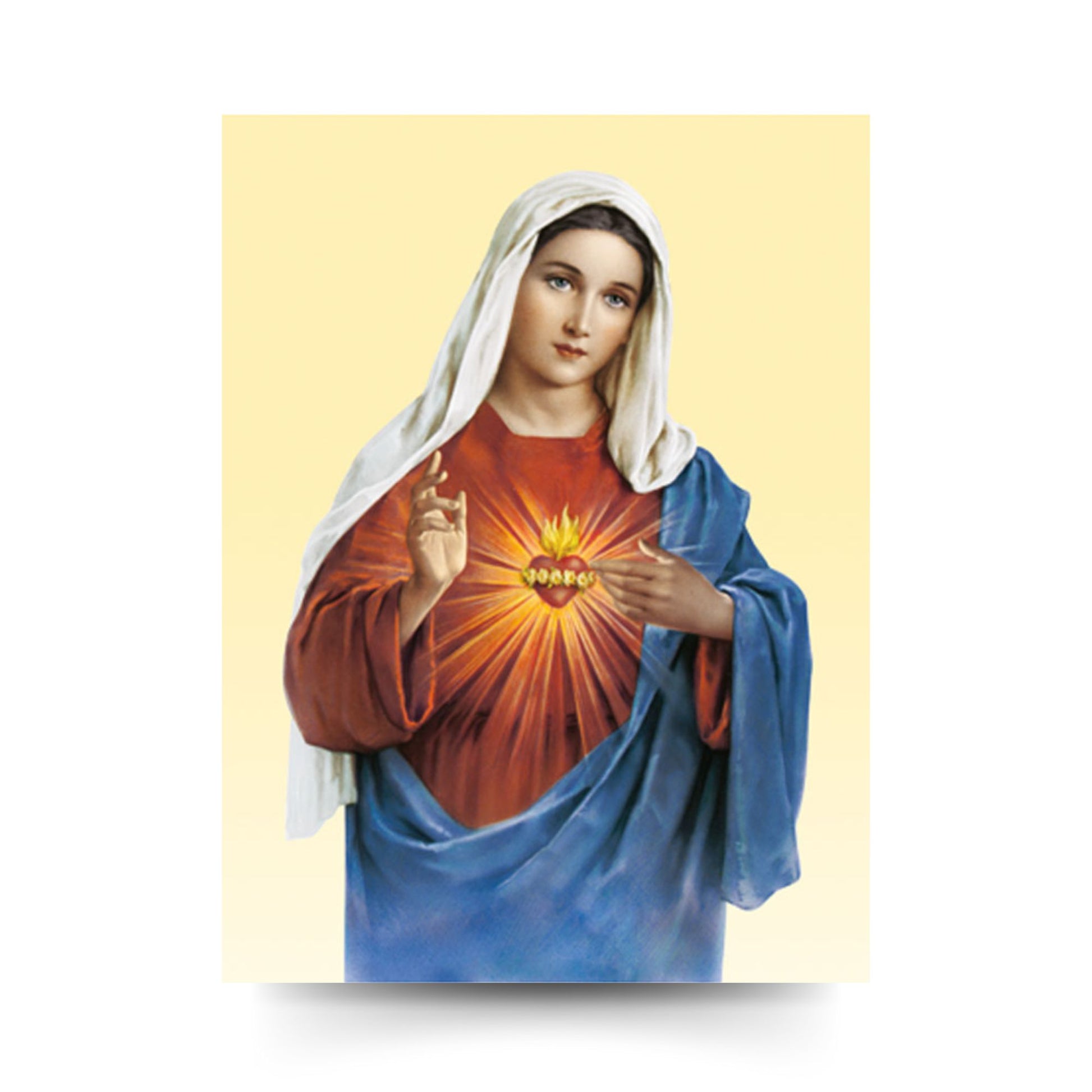 Cartolina sacro cuore di Maria. Retro bianco