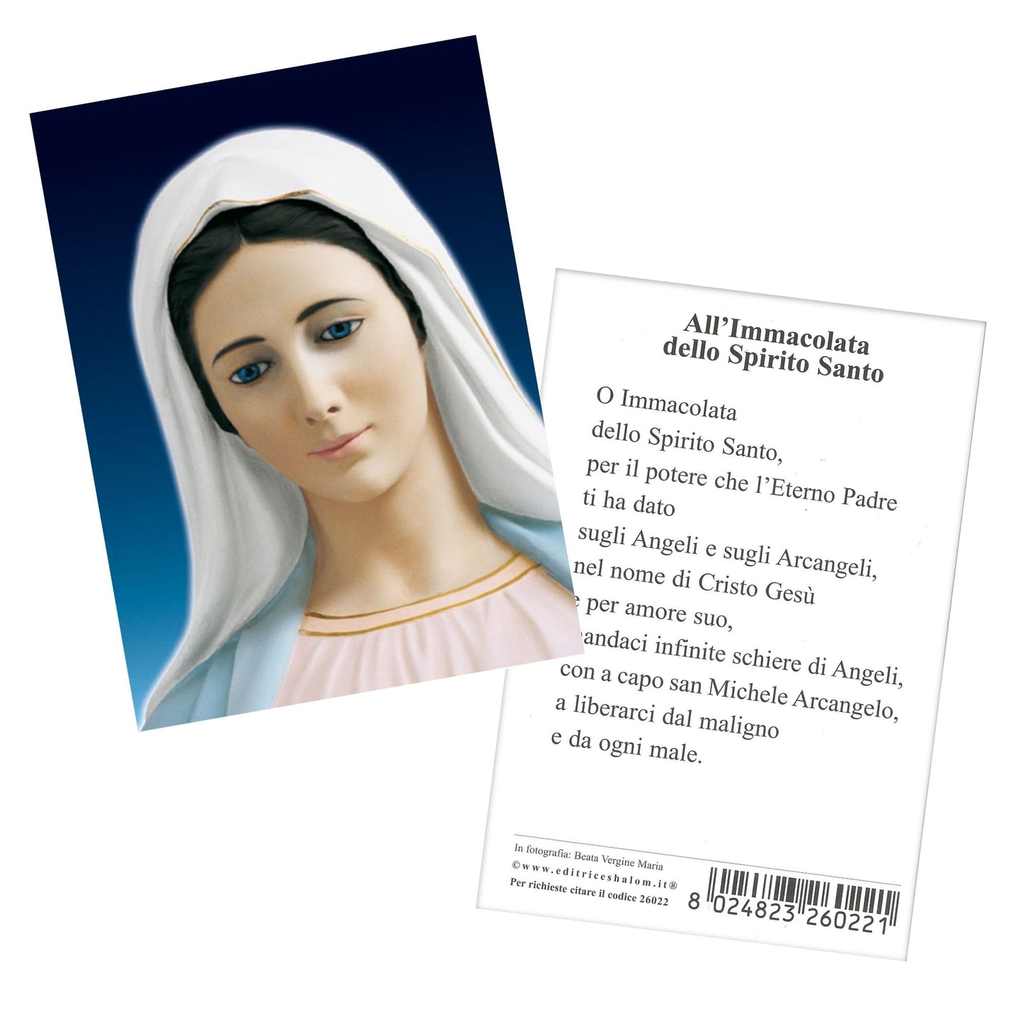 Santino Madonna frontale "All'Immacolata dello Spirito Santo"