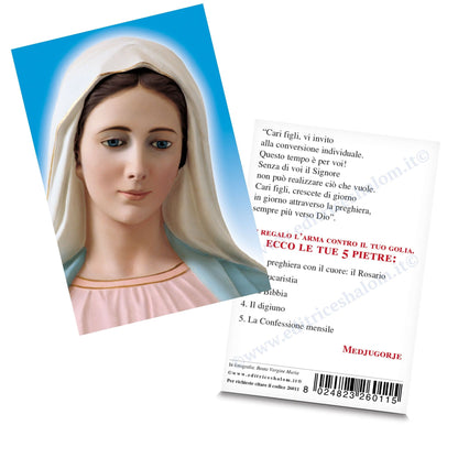 Santino Madonna frontale "Le tue cinque pietre"
