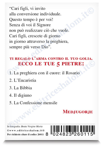 Santino Madonna frontale "Le tue cinque pietre"