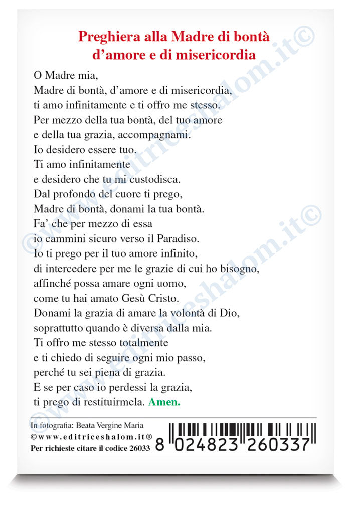 Santino beata Vergine Maria "Preghiera alla Madre di bontà"