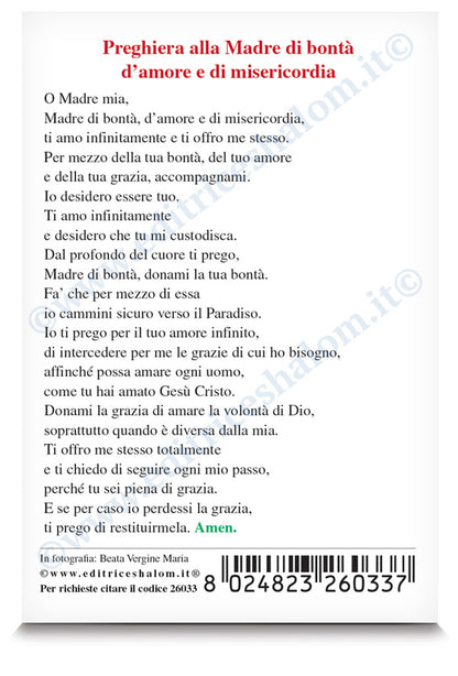 Santino beata Vergine Maria "Preghiera alla Madre di bontà"