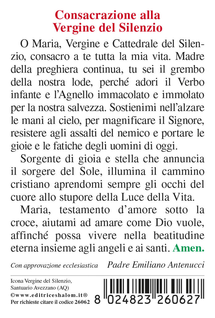Santino Vergine del Silenzio cm 7x10 con retro "Preghiera allaVergine del Silenzio"