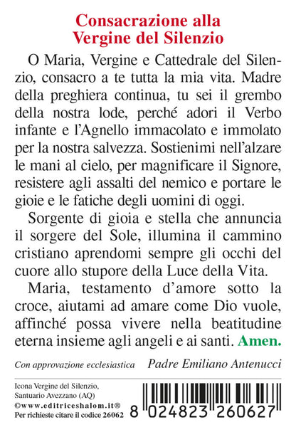 Santino Vergine del Silenzio cm 7x10 con retro "Preghiera allaVergine del Silenzio"