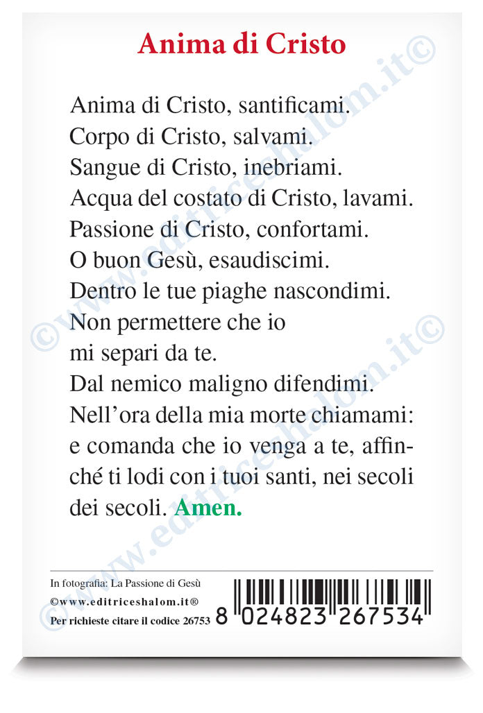 Santino Passione di Gesù con retro preghiera "Anima di Cristo"