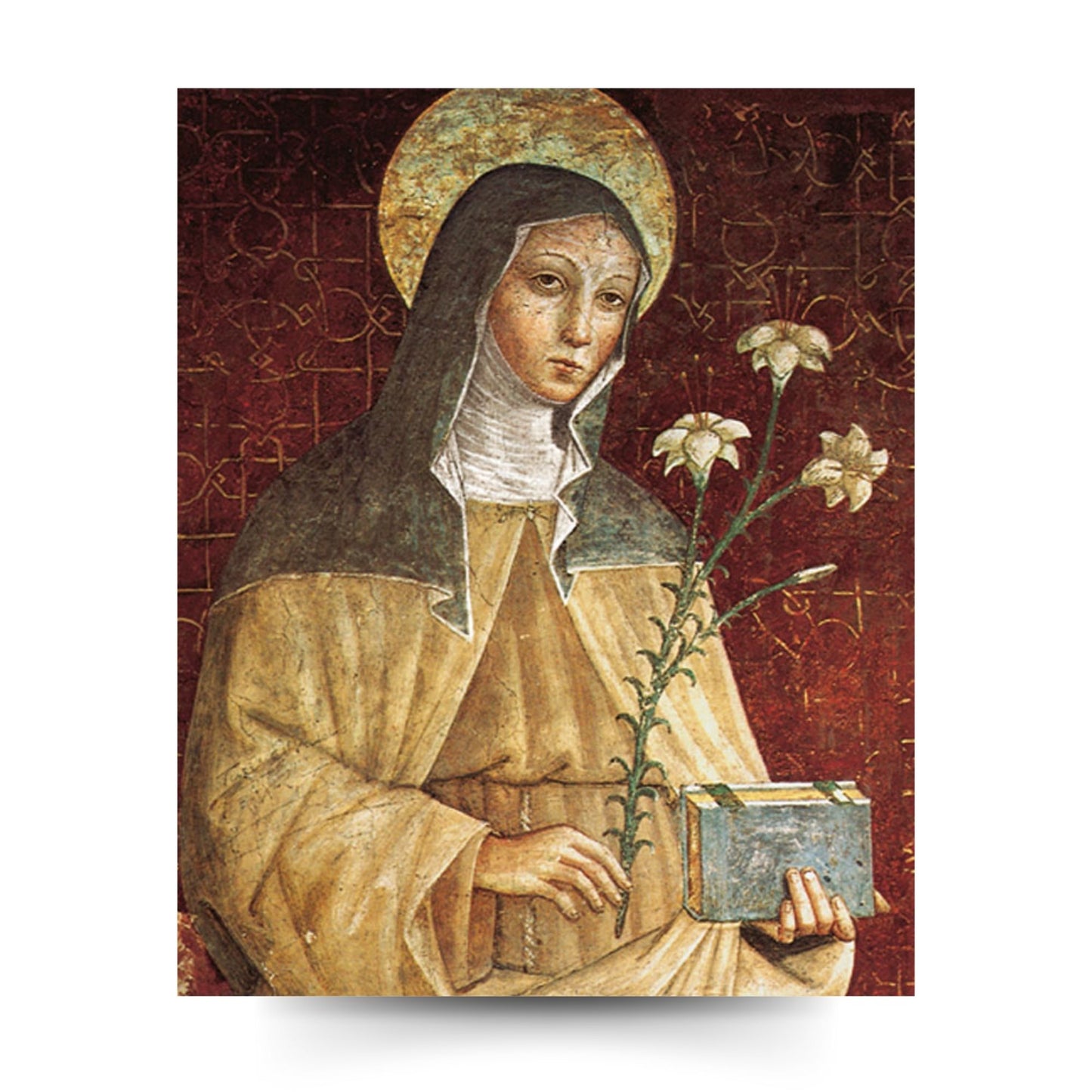 Santino santa Chiara. Retro bianco
