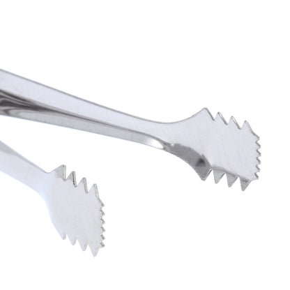 Pinza in metallo per carboncino. Dimensioni 2x11 cm