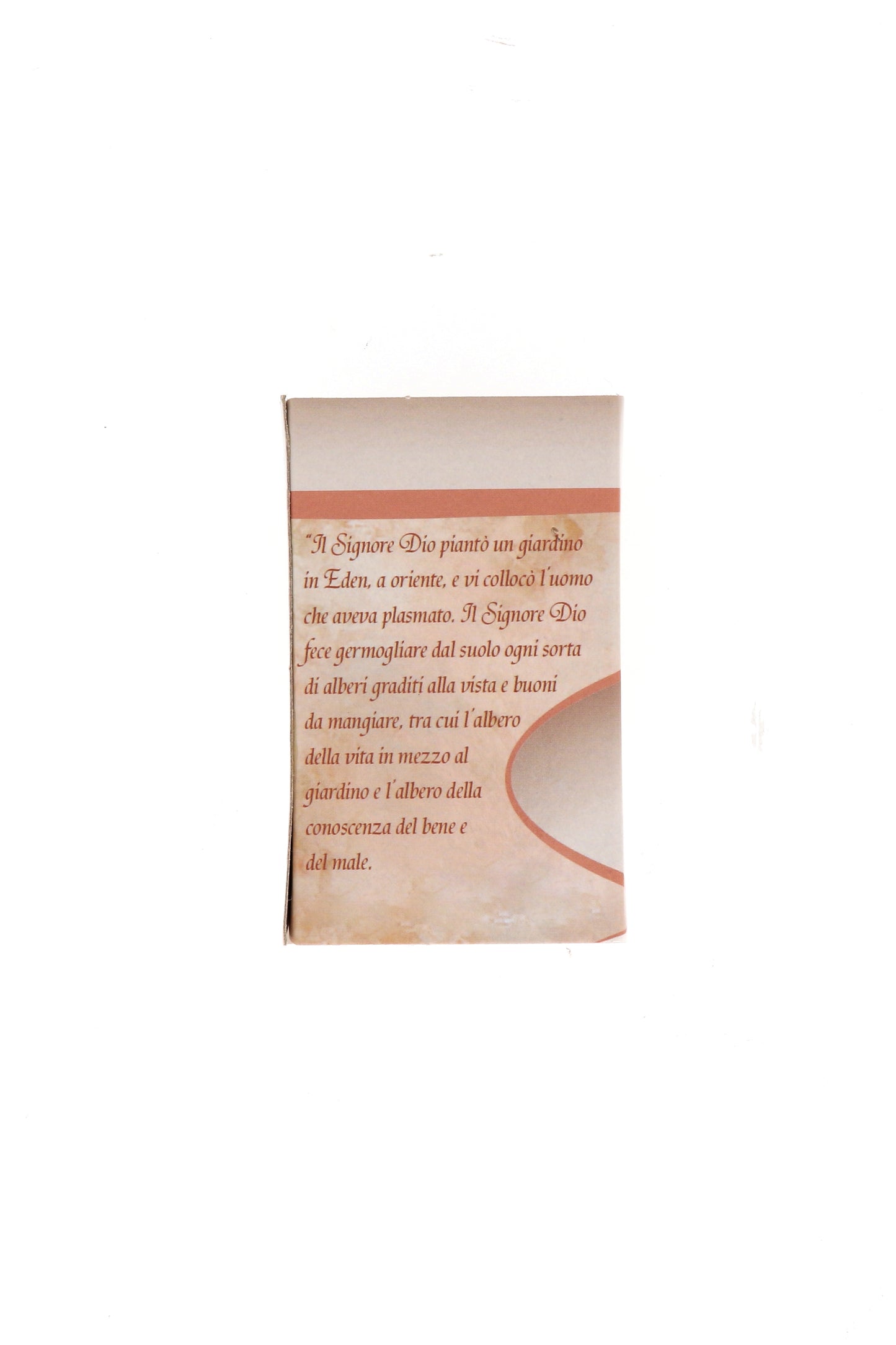 Catenina con ciondolo Albero della vita in acciaio. Lunghezza 25 cm