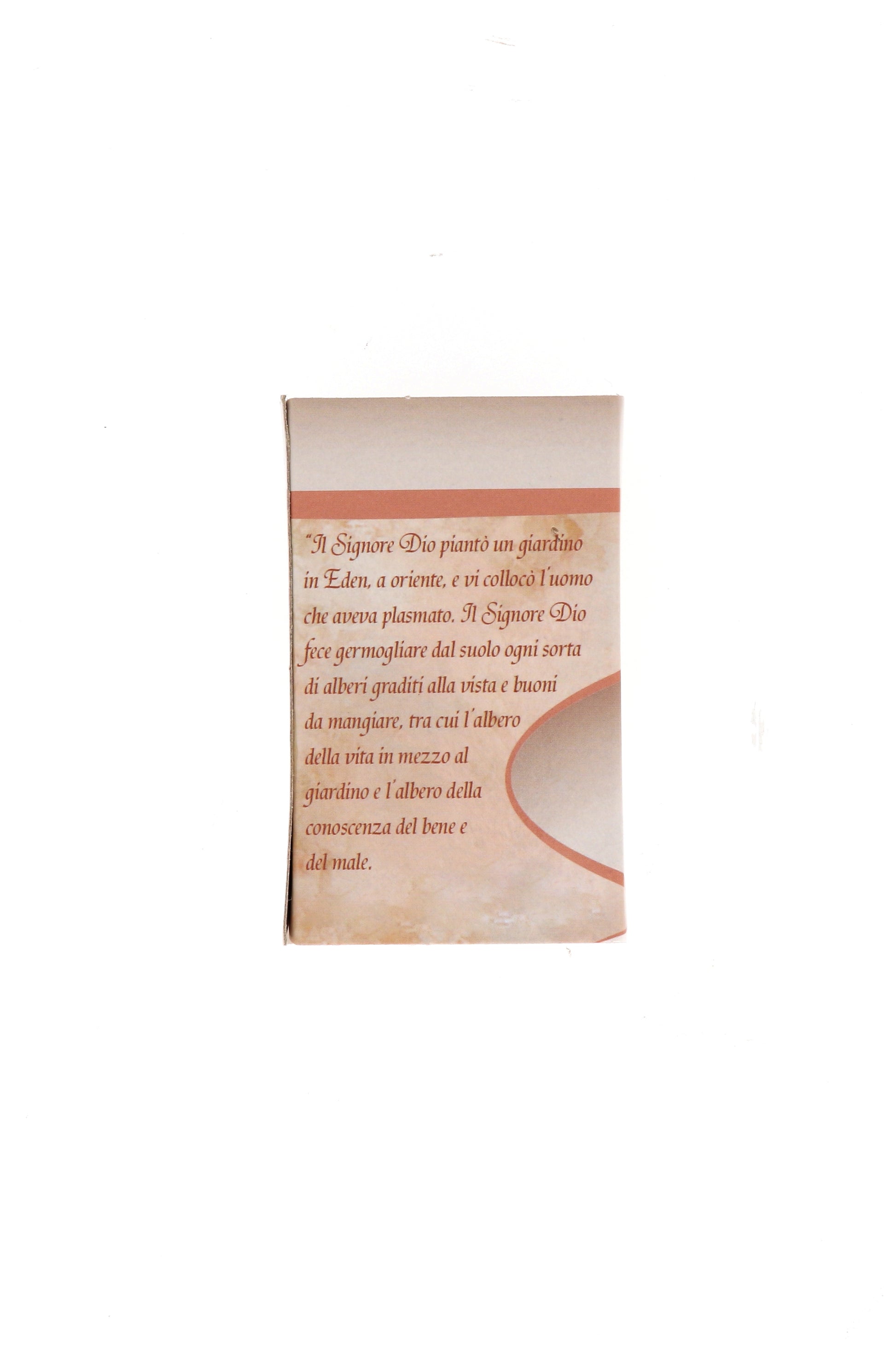 Catenina con ciondolo Albero della vita in acciaio. Lunghezza 25 cm