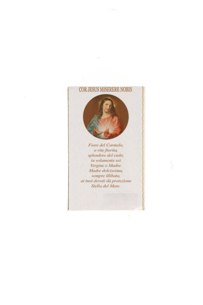 Catenina con ciondolo Medaglia del Carmelo in acciaio. Lunghezza 26,5 cm