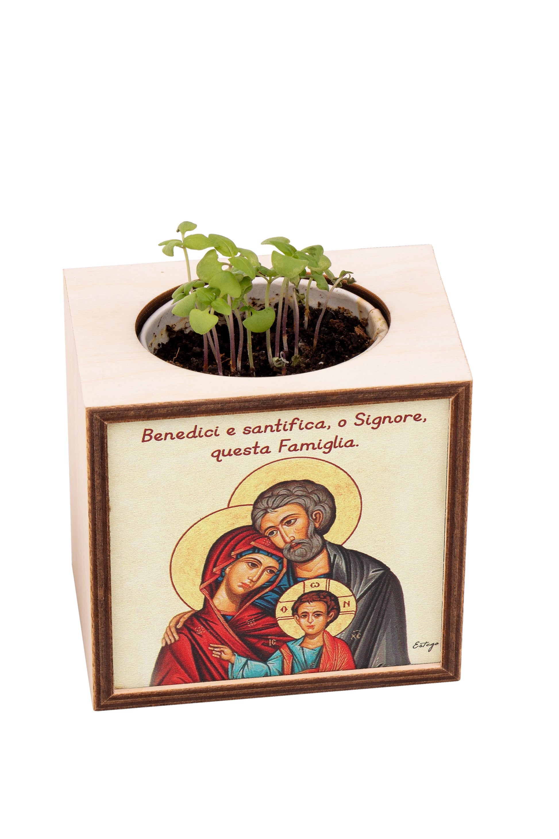 Piantina Kodama in cubo di legno - immagine icona Sacra Famiglia. Dimensioni 10x10 cm