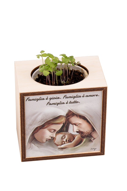 Piantina Kodama in cubo di legno - immagine Sacra Famiglia. Dimensioni 10x10 cm