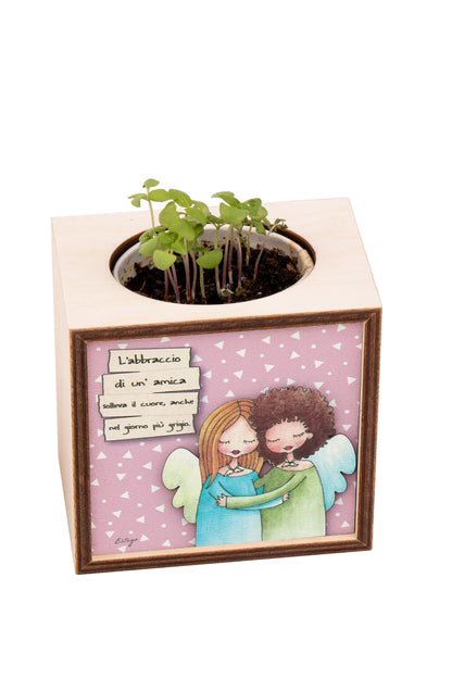Piantina Kodama in cubo di legno - immagine Amicizia. Dimensioni 10x10 cm