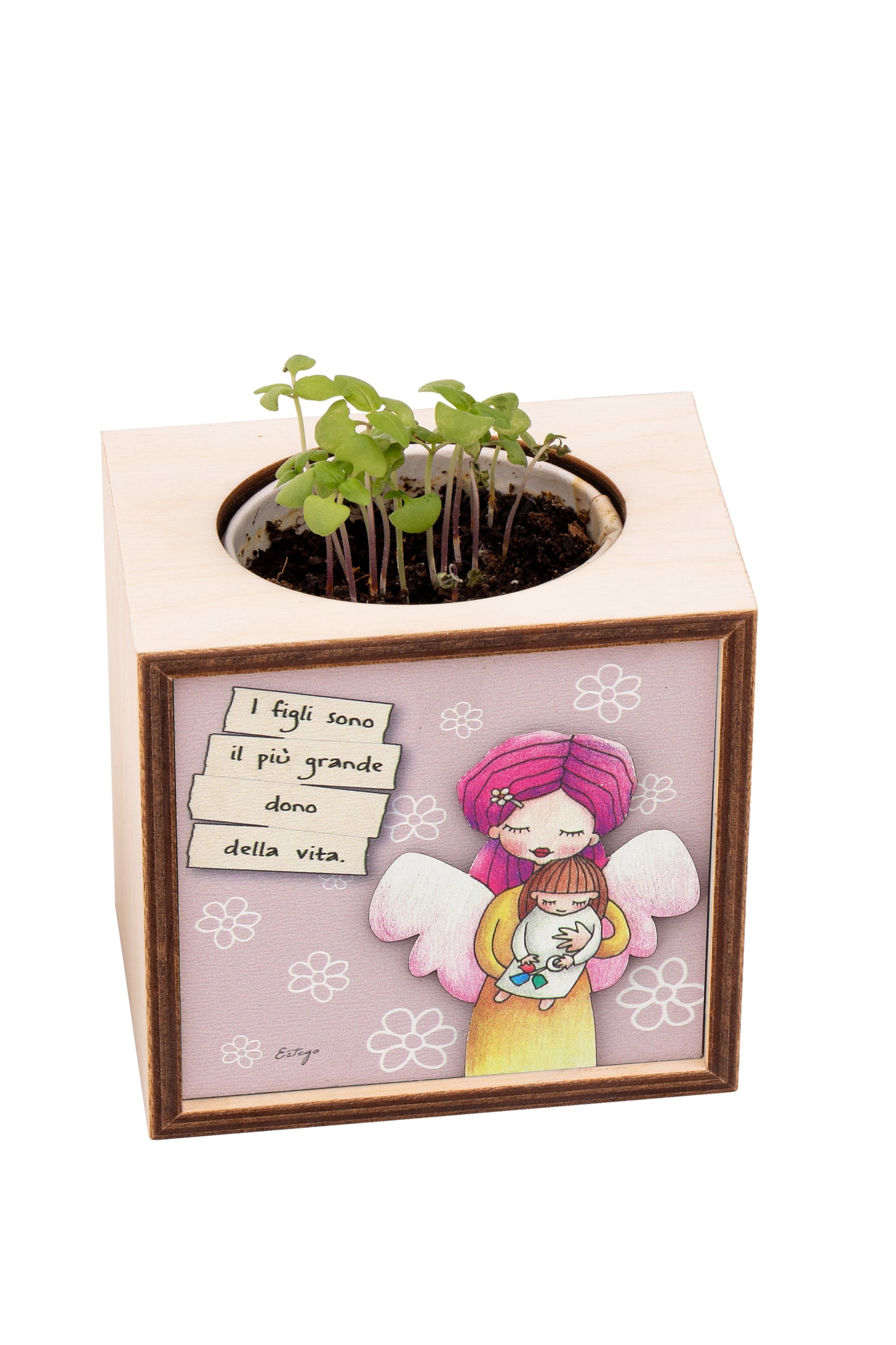 Piantina Kodama in cubo di legno - immagine I figli sono un dono. Dimensioni 10x10 cm