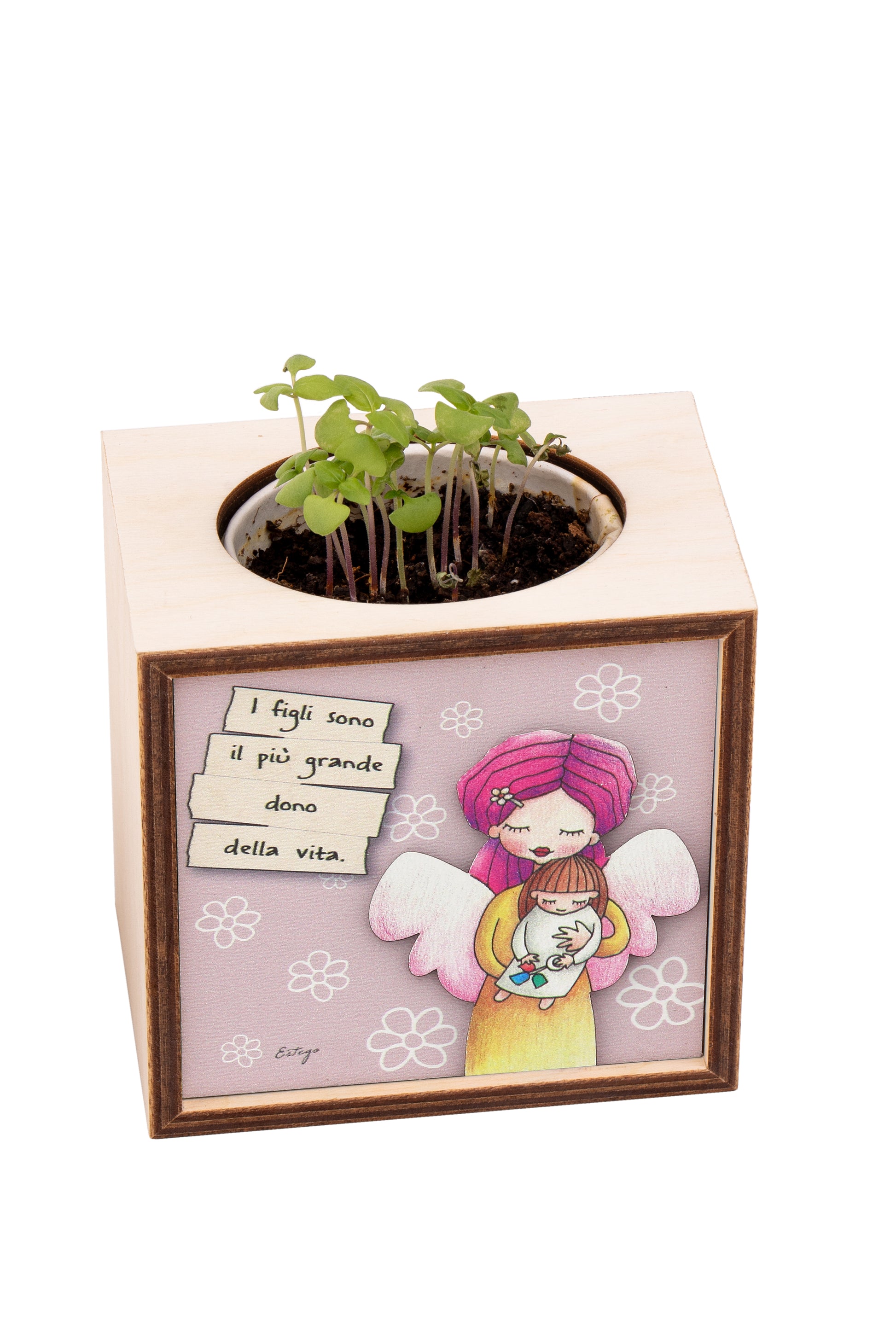 Piantina Kodama in cubo di legno - immagine I figli sono un dono. Dimensioni 10x10 cm
