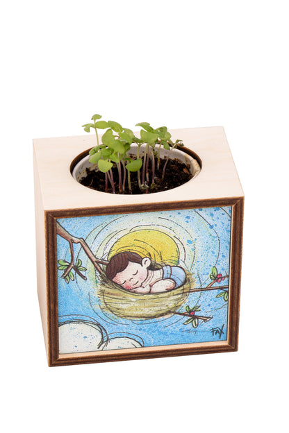 Piantina Kodama in cubo di legno - immagine Pulcino nel nido. Dimensioni 10x10 cm