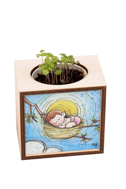 Piantina Kodama in cubo di legno - immagine Pulcina nel nido. Dimensioni 10x10 cm