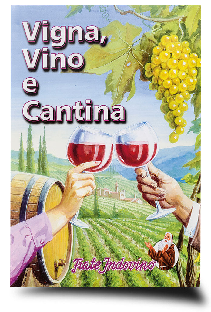 Vigna, vino e cantina