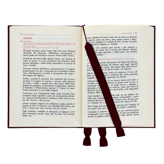 Ordinazione del vescovo, dei presbiteri e dei diaconi