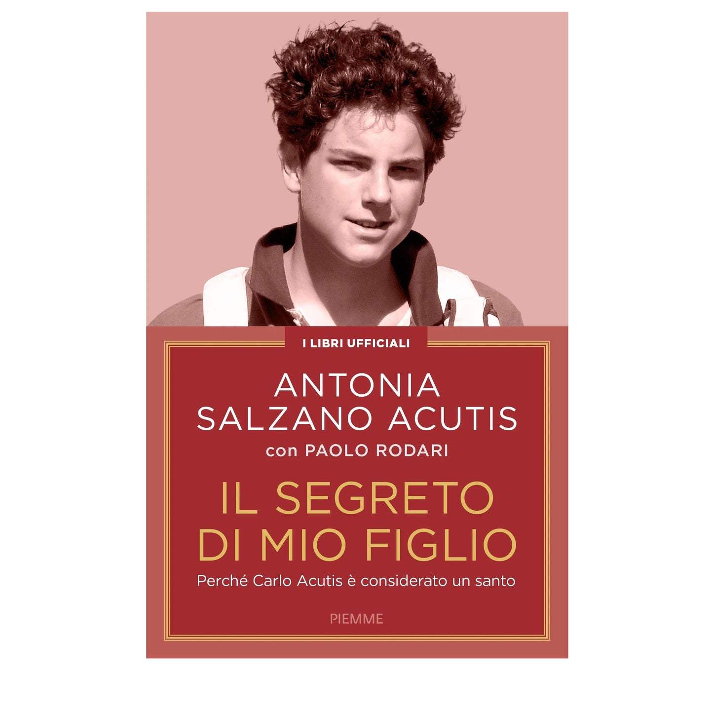 Il segreto di mio figlio