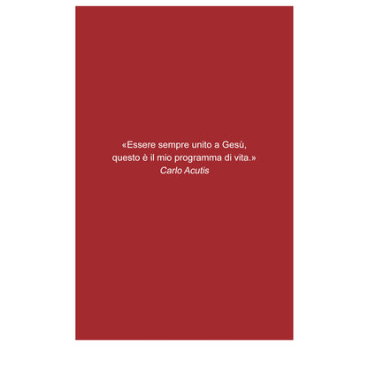 Il segreto di mio figlio