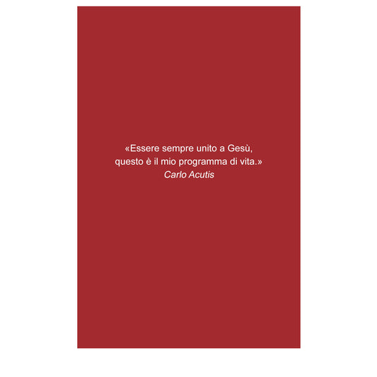 Il segreto di mio figlio