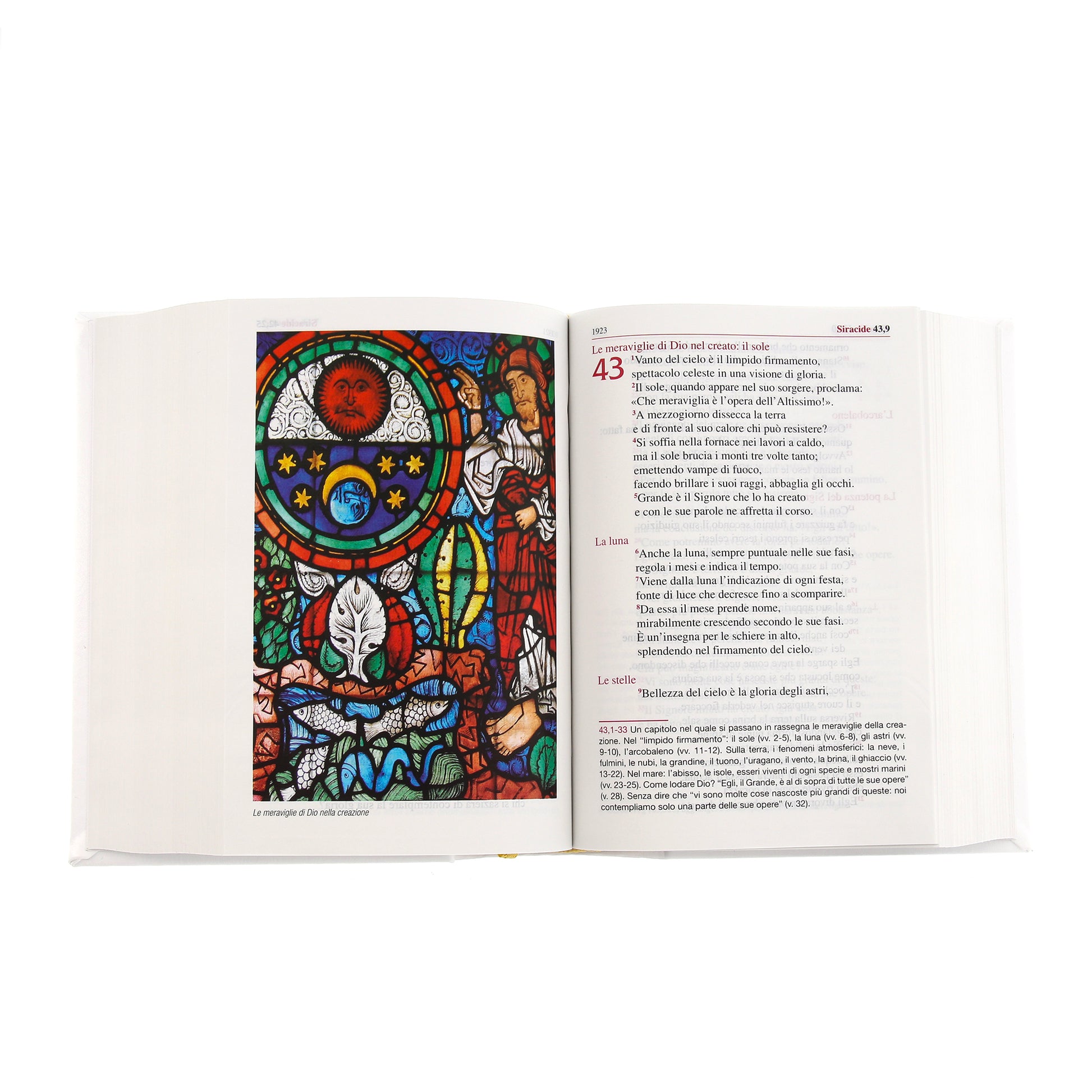 La Sacra Bibbia. Edizione grande a caratteri grandi. Ecopelle bianca