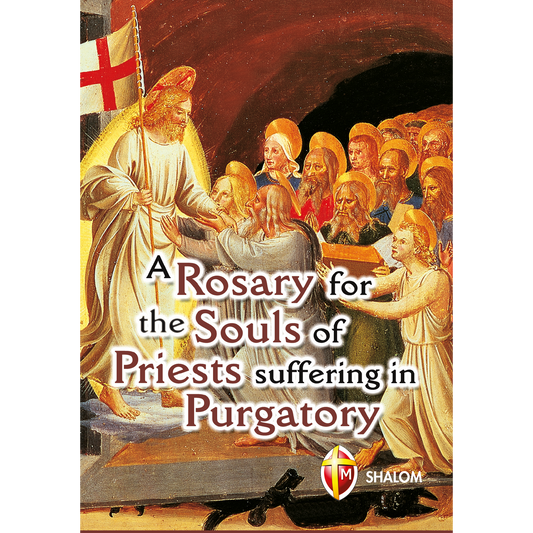 A Rosary for the Souls of Priests suffering in Purgatory