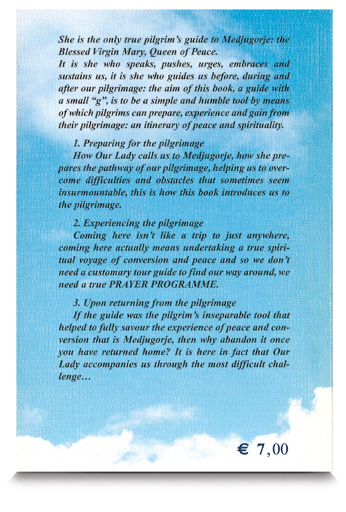 The pilgrim's guide to Medjugorje