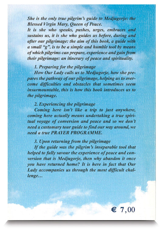The pilgrim's guide to Medjugorje